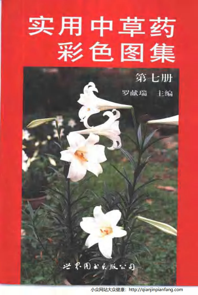 实用中草药彩色图集（第七册）（罗献瑞）.pdf 第1页