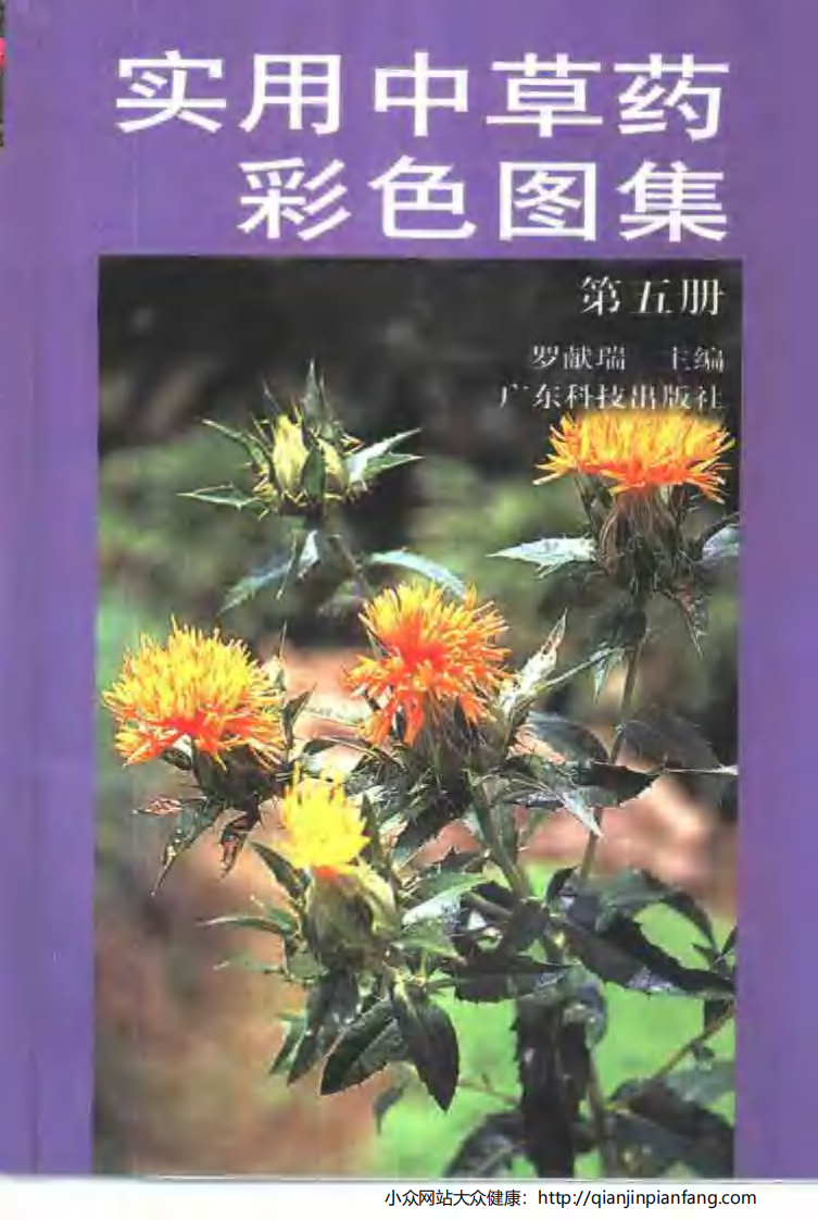 实用中草药彩色图集（第五册）（罗献瑞）.pdf 第1页