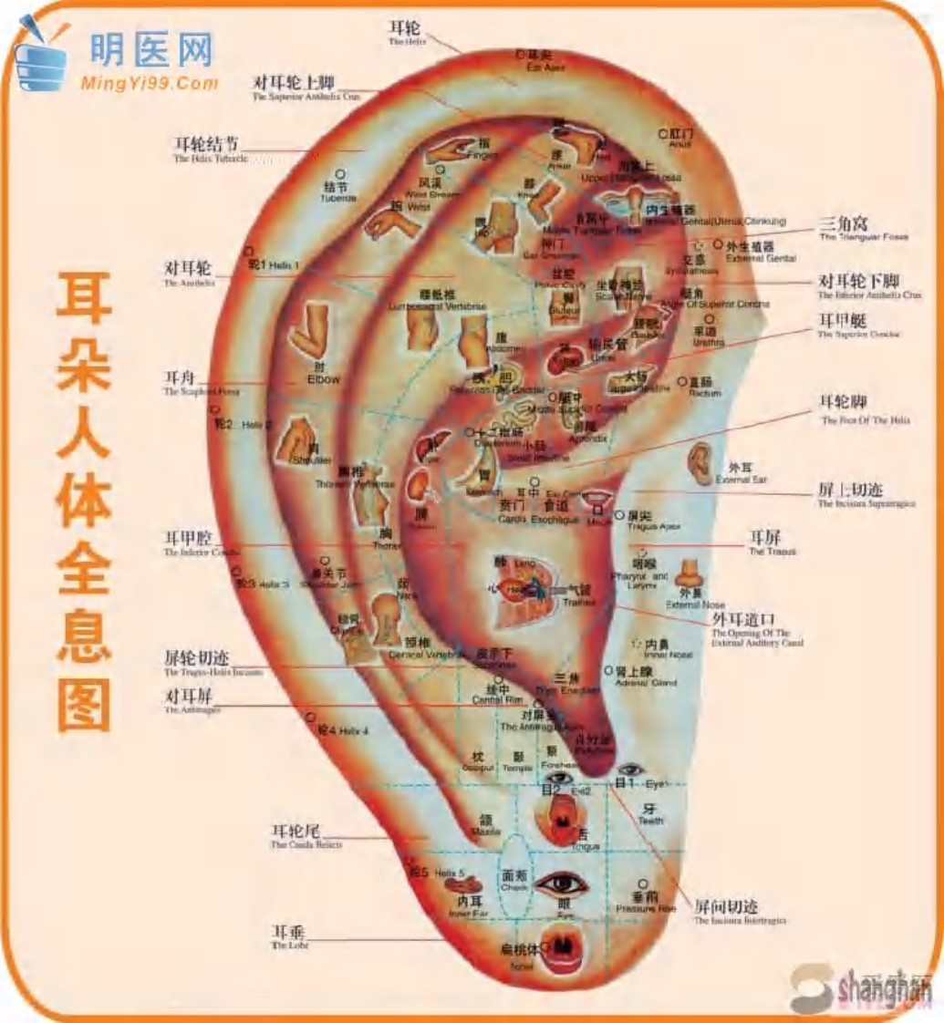 全息反射图.pdf 第2页