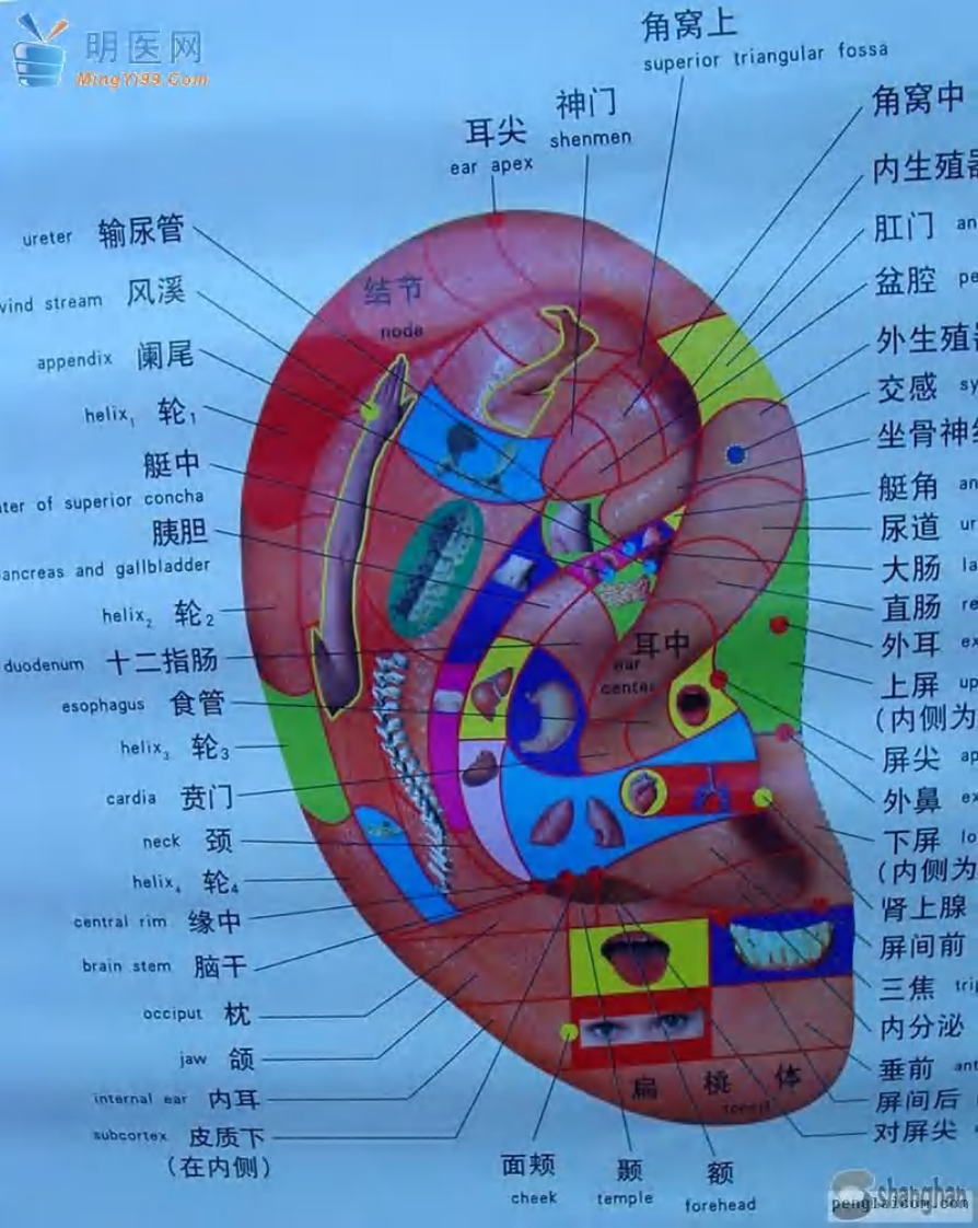 全息反射图.pdf 第1页