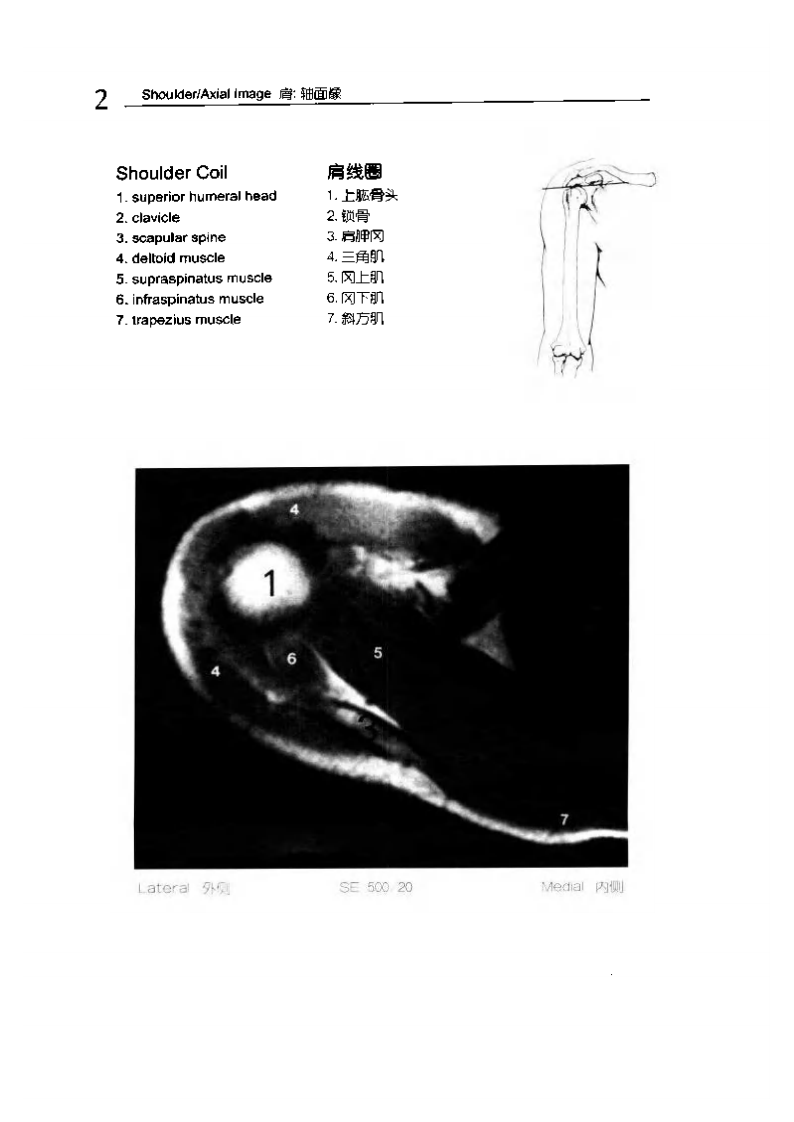 人体MRI图谱.pdf 第2页