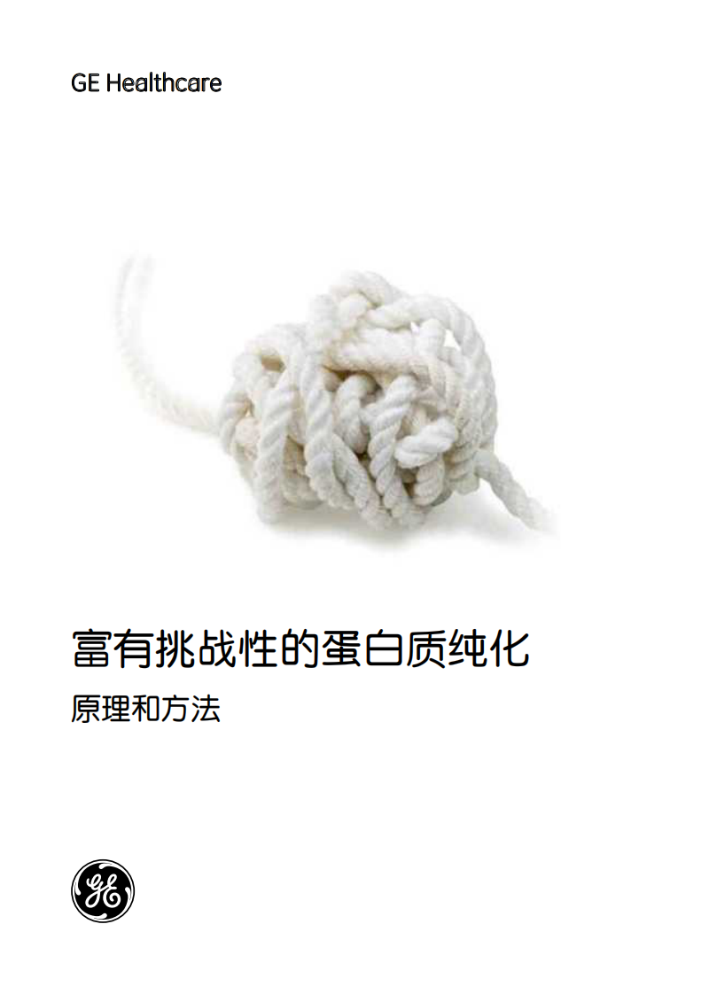 蛋白质纯化手册(GE_Healthcare_中文版)[bioworlde.com].pdf 第1页