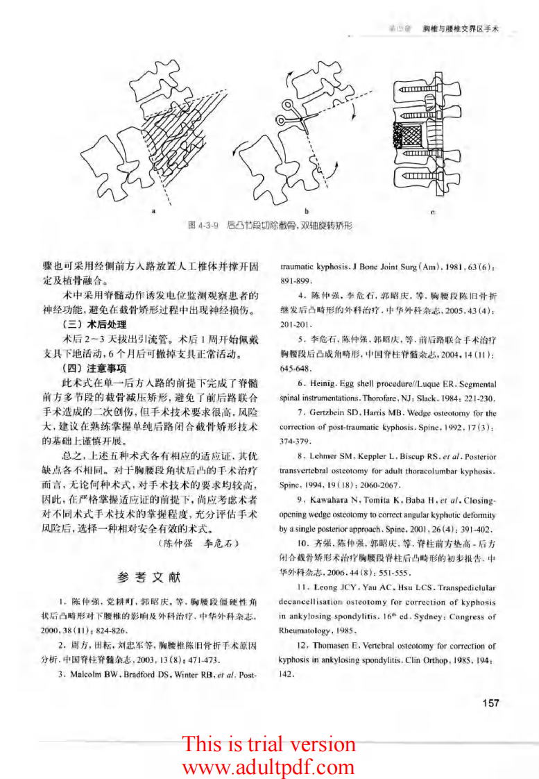 脊柱外科手术操作与技巧（骨科手术技巧丛书）4.pdf 第3页