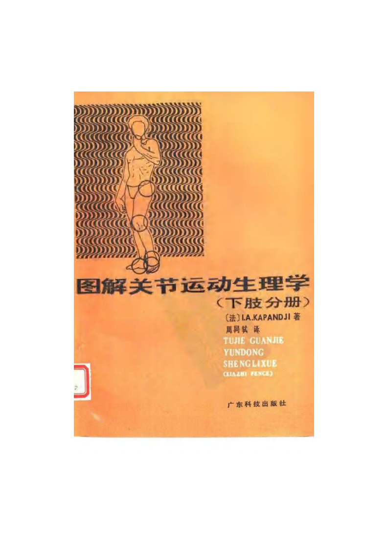 图解关节运动生理学（下肢分册）（扫描版）.pdf 第1页
