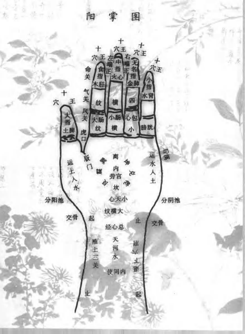 掌纹诊病全书（李群堂）.pdf 第3页
