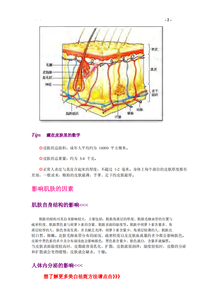 白里透红的皮肤保养秘籍.pdf 第5页