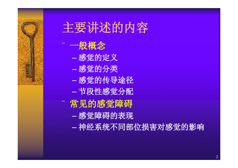 感觉功能与疼痛的评定-.pdf 第2页