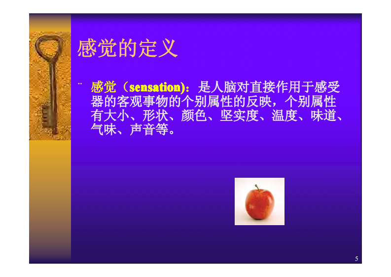 感觉功能与疼痛的评定-.pdf 第5页