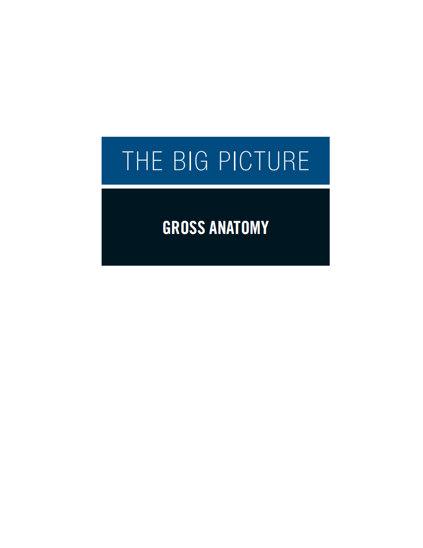 解剖学：大图片（2011高清英文版）Gross Anatomy The Big Picture.pdf 第2页