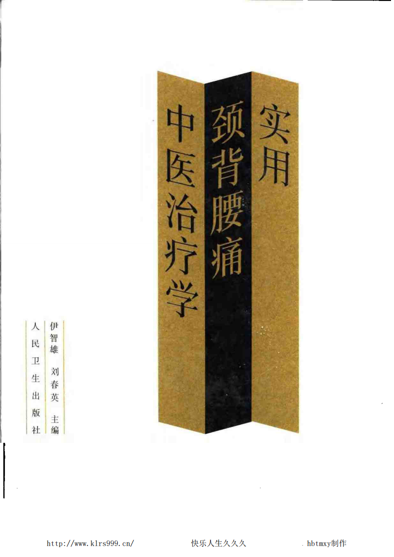 实用颈背腰痛中医治疗学.pdf 第1页