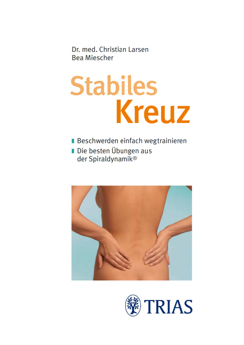 腰背痛治疗螺旋动力学.pdf 第3页