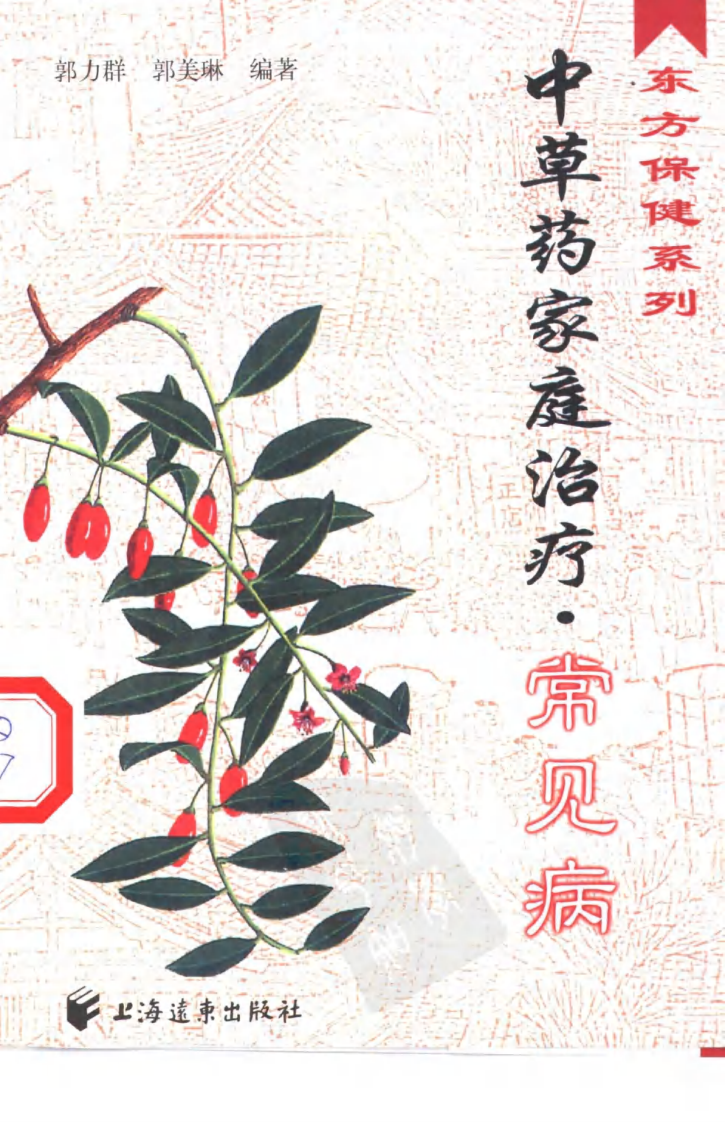 中草药家庭治疗.pdf 第2页