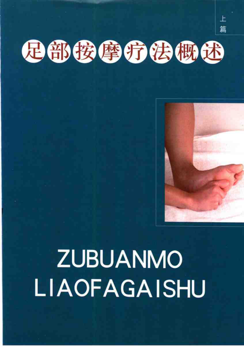 足部按摩大图典（姜颂彭）.pdf 第5页