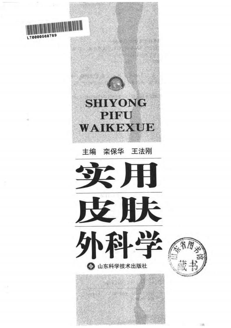 [VISRIS.COM]实用皮肤外科学.[栾保华 王华刚][仅用于学习，禁止作商业用途].pdf 第3页