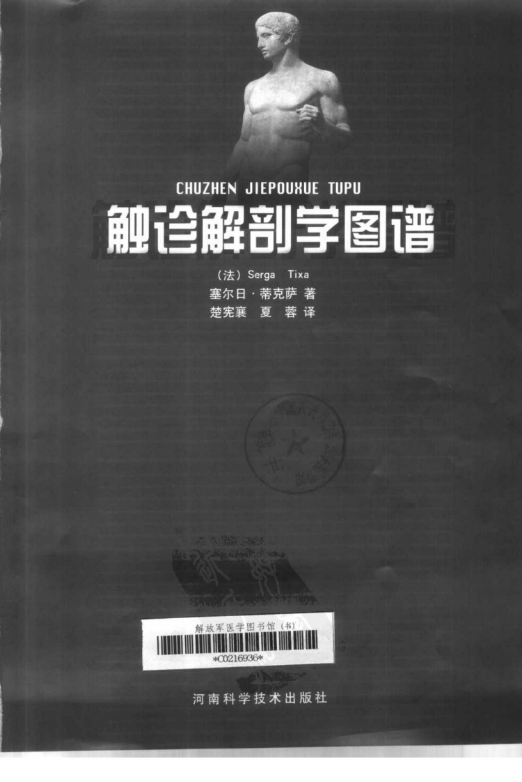 触诊解剖学图谱.pdf 第3页