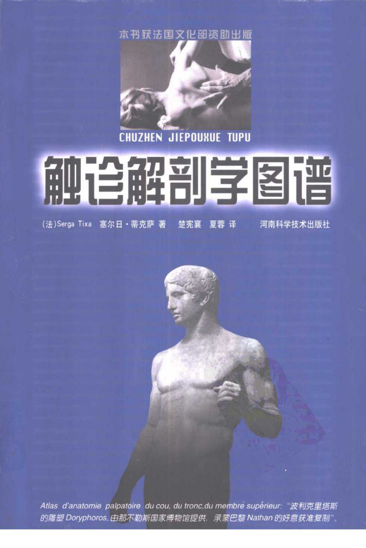 触诊解剖学图谱.pdf 第1页