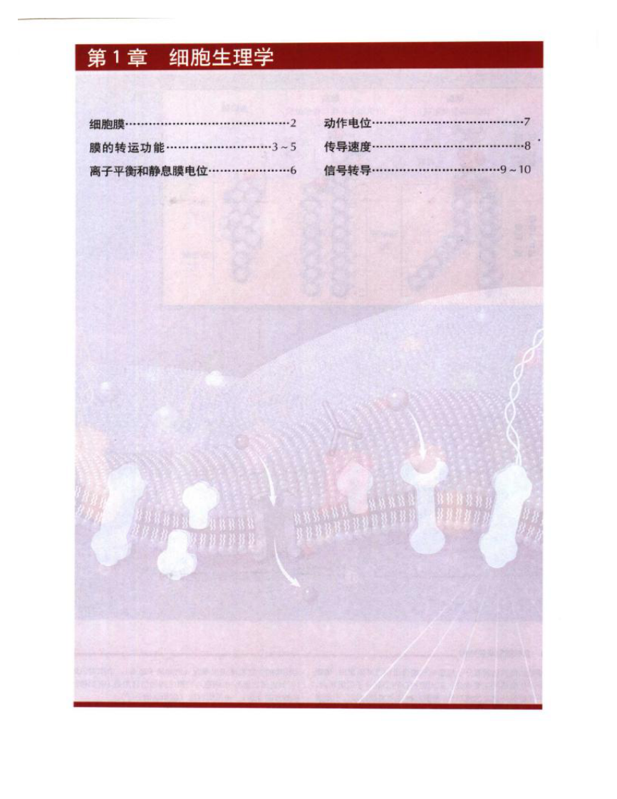 奈特人体生理学彩色图谱扫描版.pdf 第5页