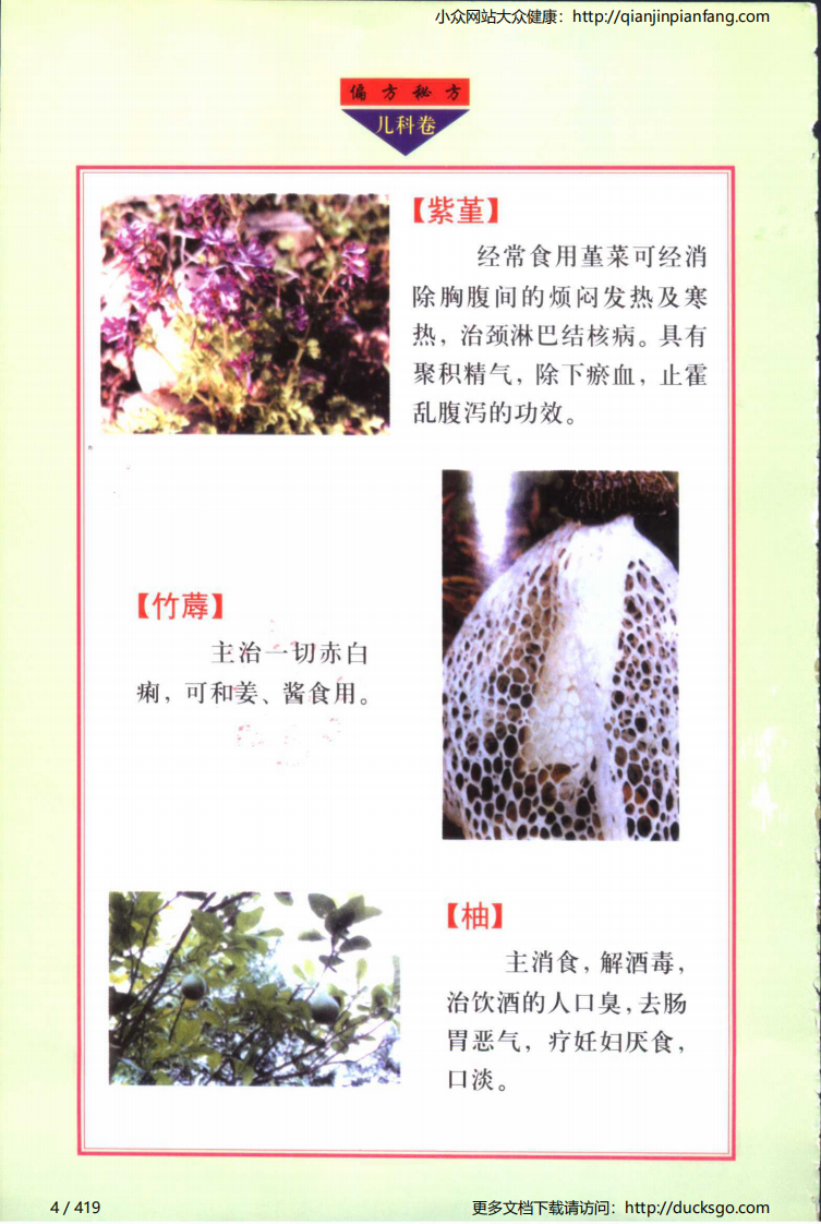 实用偏方秘方经典 - 儿科（张家林）.pdf 第4页