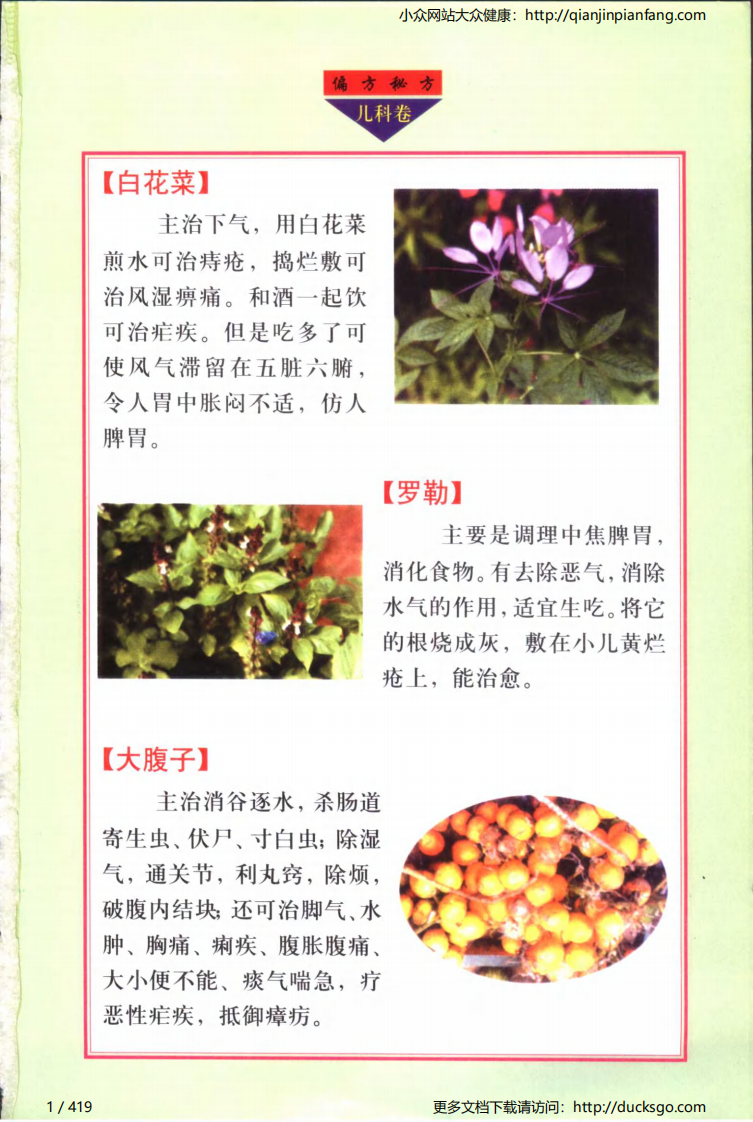 实用偏方秘方经典 - 儿科（张家林）.pdf 第1页