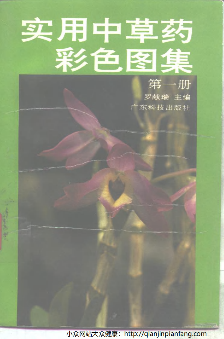 实用中草药彩色图集（第一册）（罗献瑞）.pdf 第1页