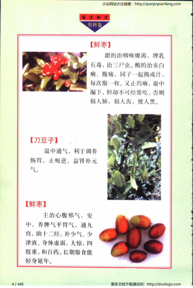 实用偏方秘方经典 - 男科（张家林）.pdf 第4页