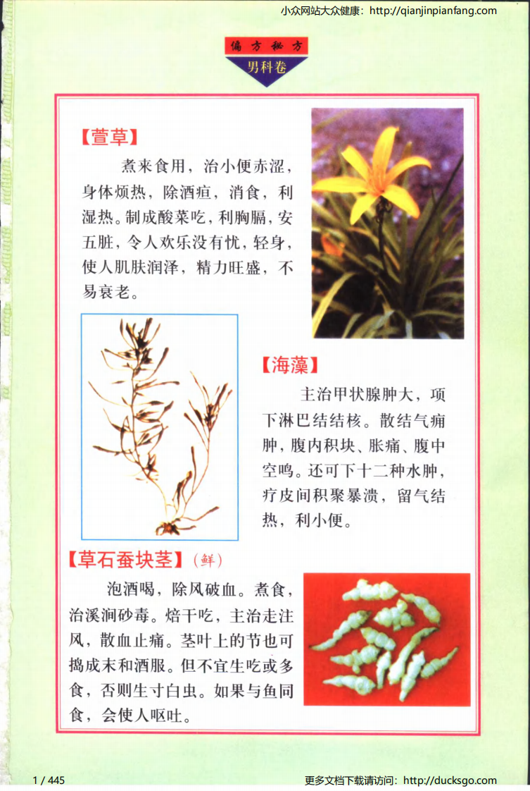 实用偏方秘方经典 - 男科（张家林）.pdf 第1页