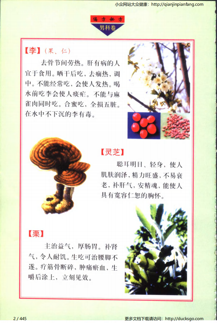 实用偏方秘方经典 - 男科（张家林）.pdf 第2页