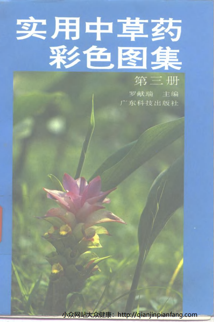 实用中草药彩色图集（第三册）（罗献瑞）.pdf 第1页