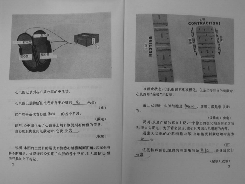 心电图图解速成讲授（扫描版）.pdf 第4页