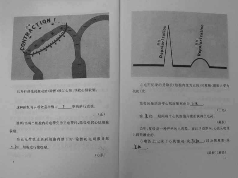 心电图图解速成讲授（扫描版）.pdf 第5页