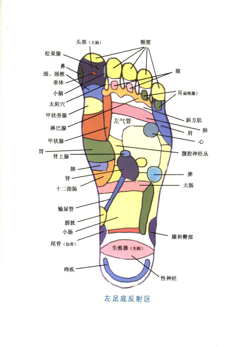 足部推拿按摩（宋一同）.pdf 第2页