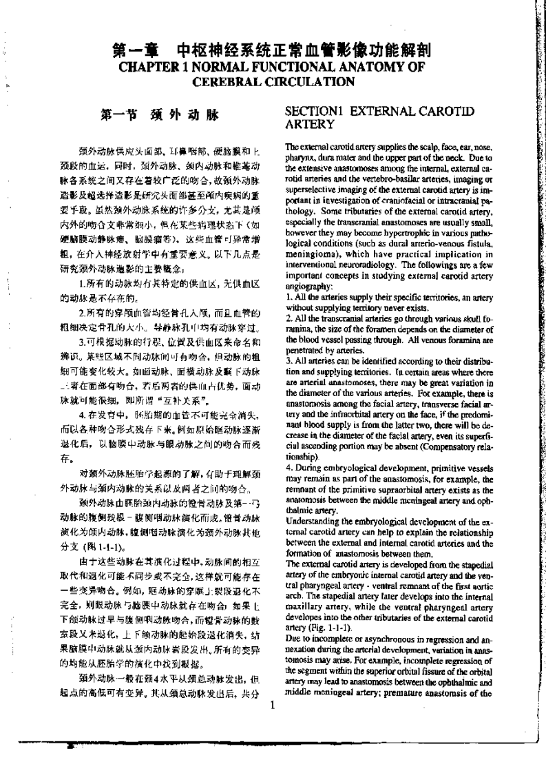脑血管造影（扫描版）.pdf 第5页