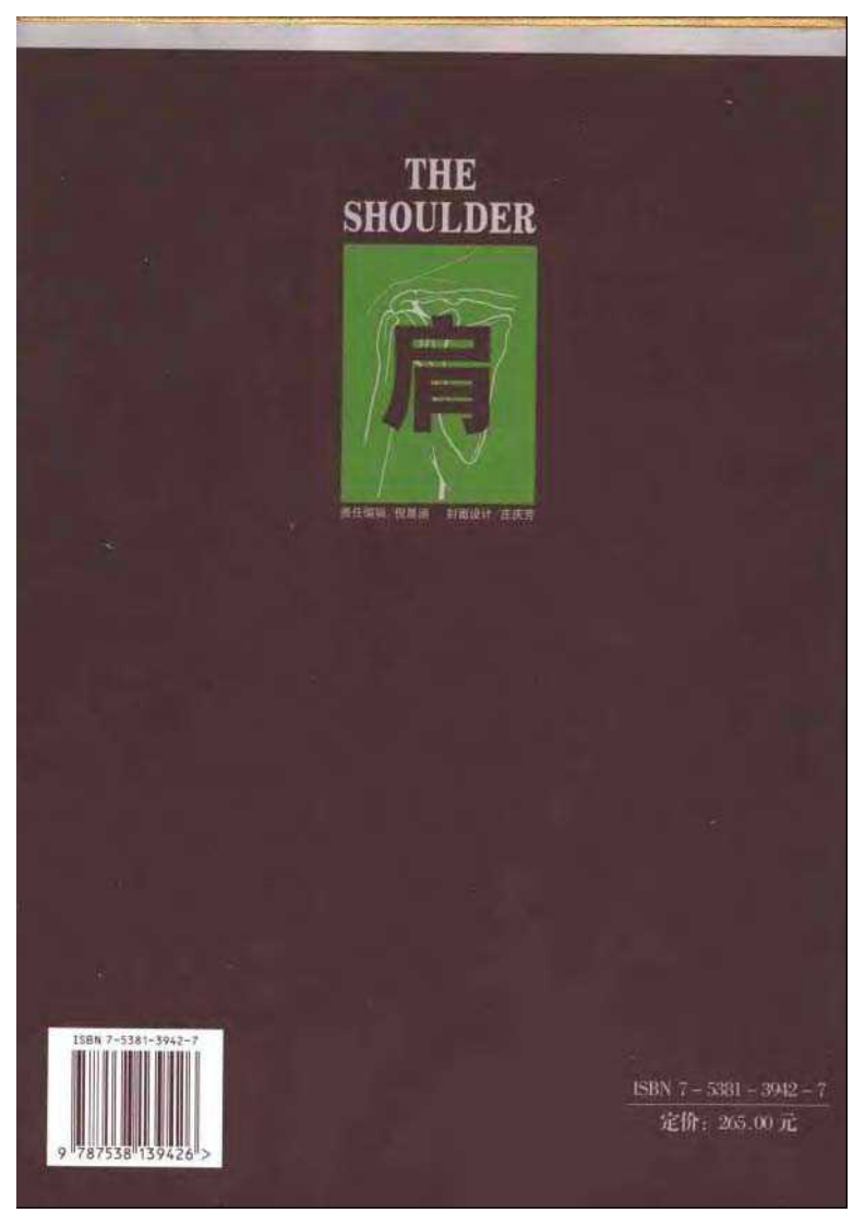 骨科标准手术技术丛书  肩.pdf 第2页