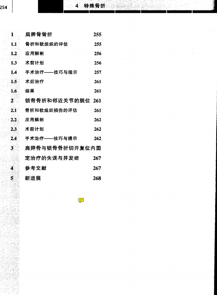 骨折治疗的AO原则（中）（高清版）.pdf 第1页