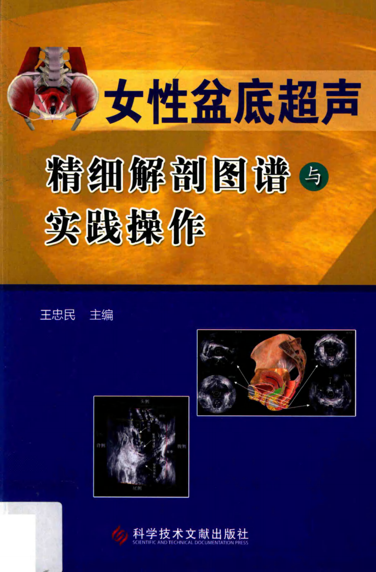 女性盆底超声精细解剖图谱与实践操作_14212177.pdf 第1页