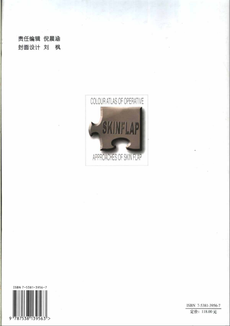 皮瓣手术入路彩色图谱.pdf 第2页