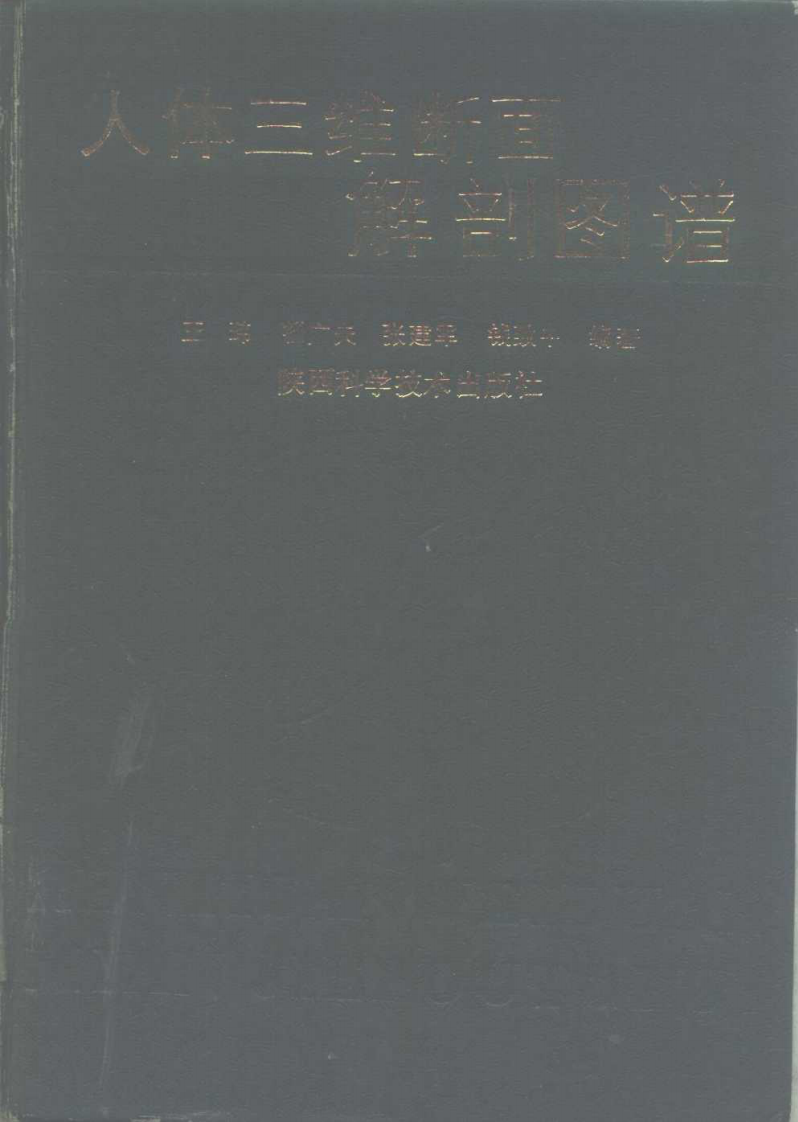 人体三维断面解剖图谱-王玮主编.pdf 第1页