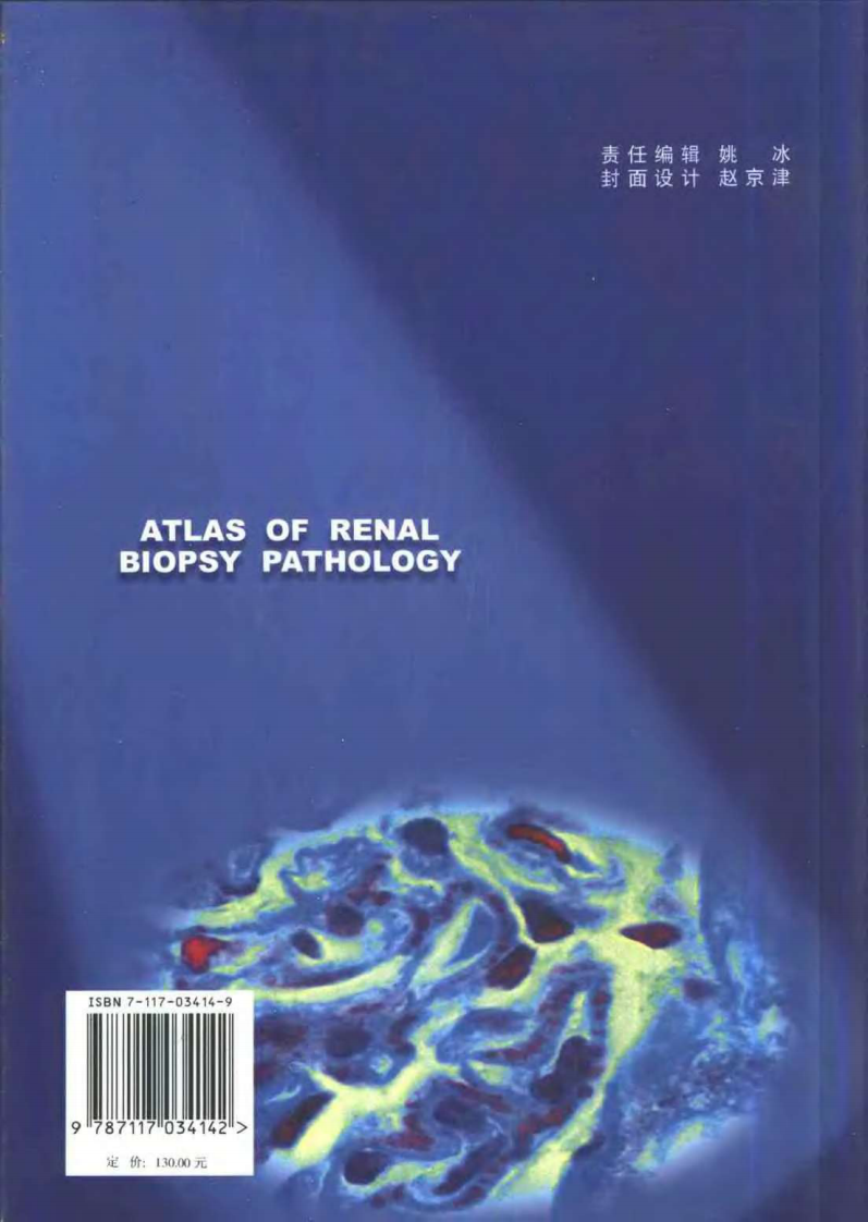 肾活检病理诊断图鉴 (1).pdf 第2页
