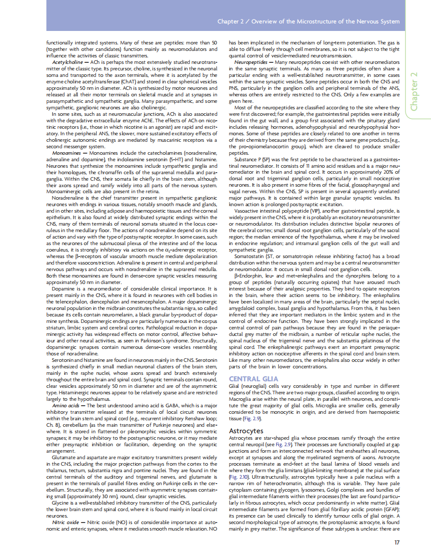 GRAY'S Clinical Neuroanatomy The Anatomic Basis for Clinical Neuroscience_部分2 临床神经科学和解剖.pdf 第1页