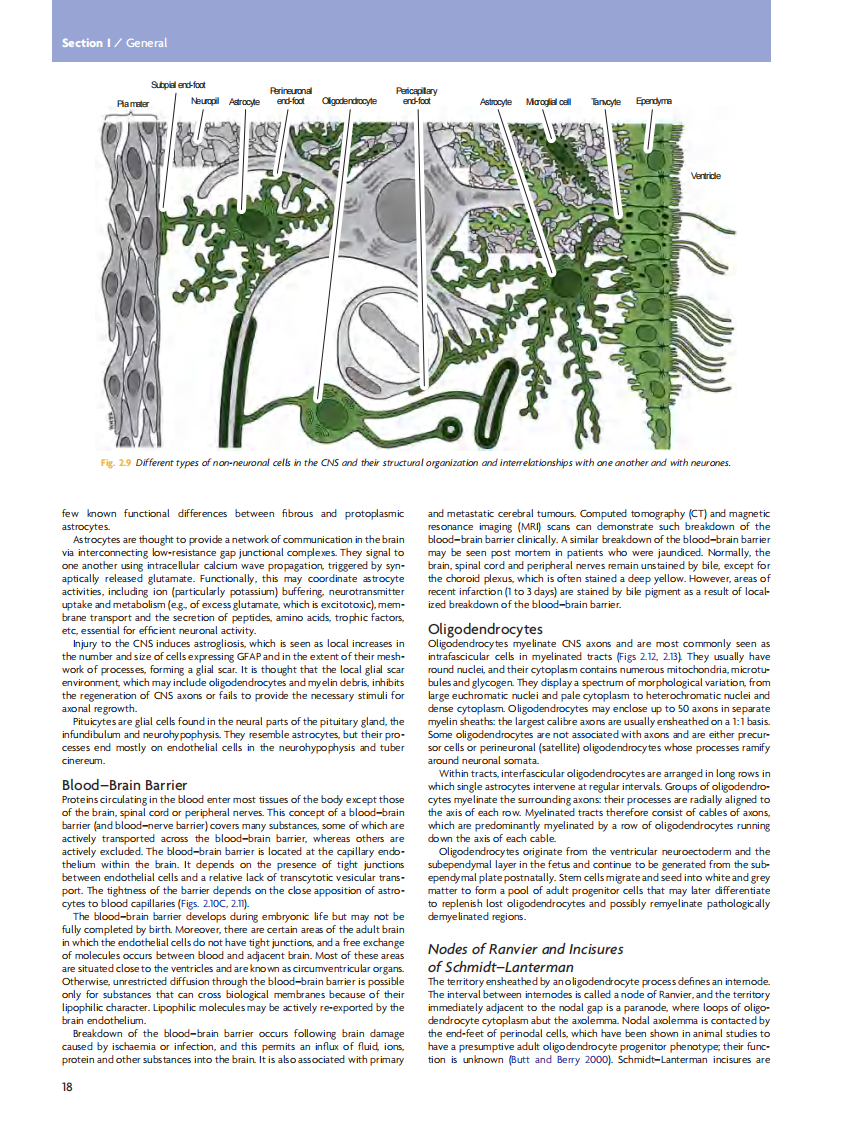 GRAY'S Clinical Neuroanatomy The Anatomic Basis for Clinical Neuroscience_部分2 临床神经科学和解剖.pdf 第2页