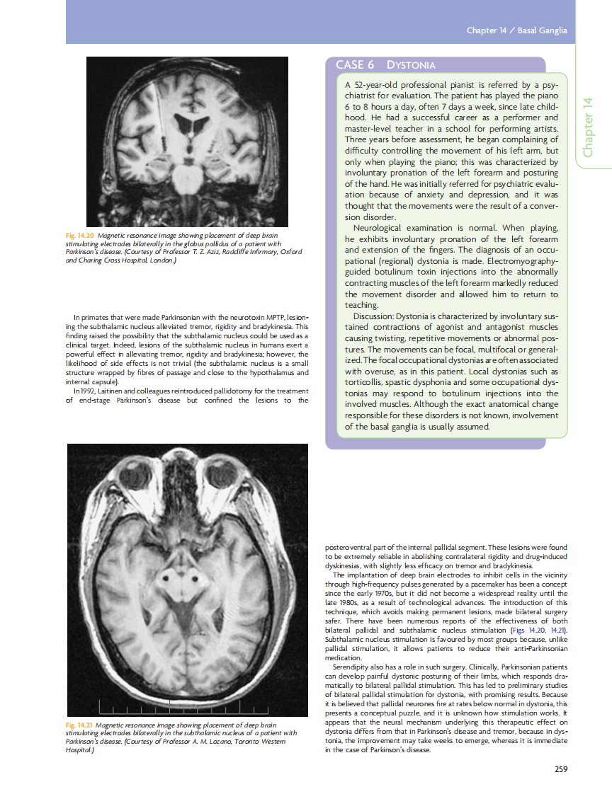 GRAY'S Clinical Neuroanatomy The Anatomic Basis for Clinical Neuroscience_部分11.pdf 第5页