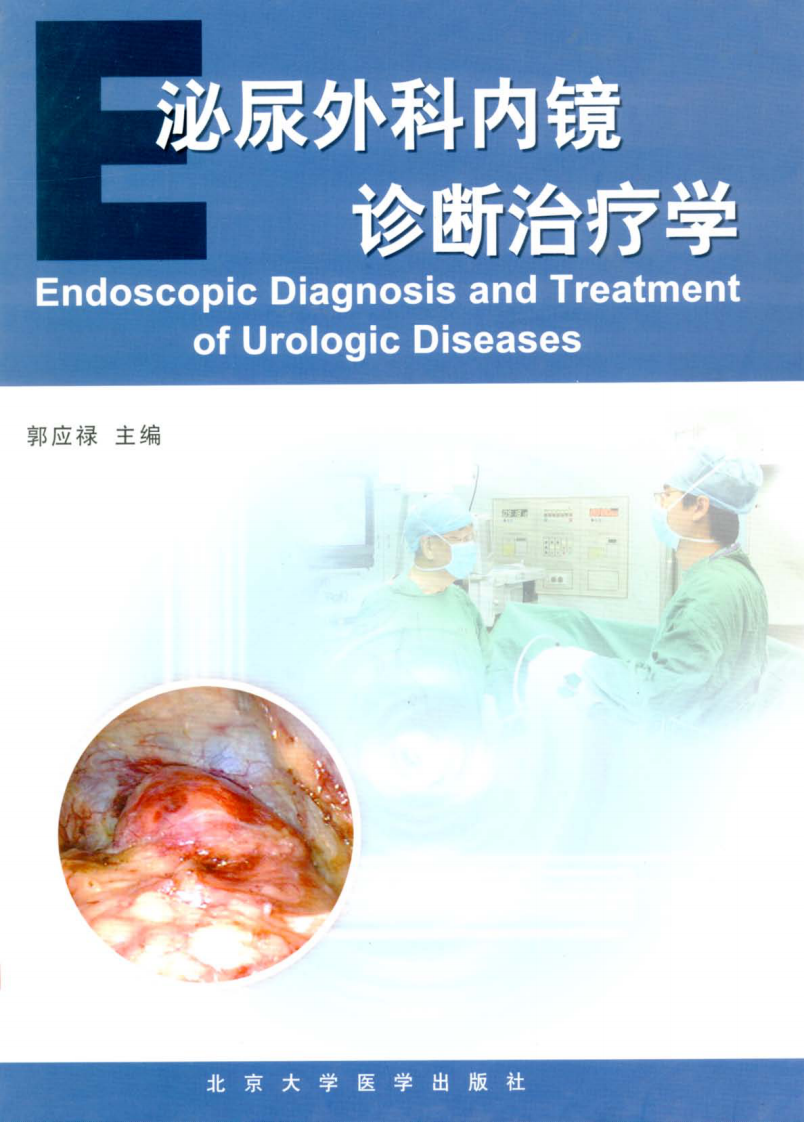 泌尿外科内镜诊断治疗学.pdf 第1页