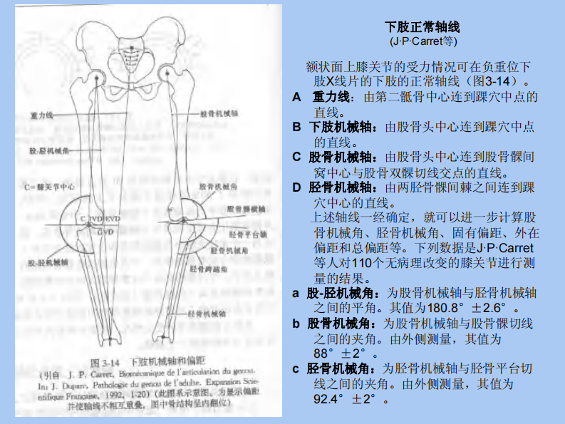 ilizarov技术-畸形矫正原理与图解.pdf 第2页