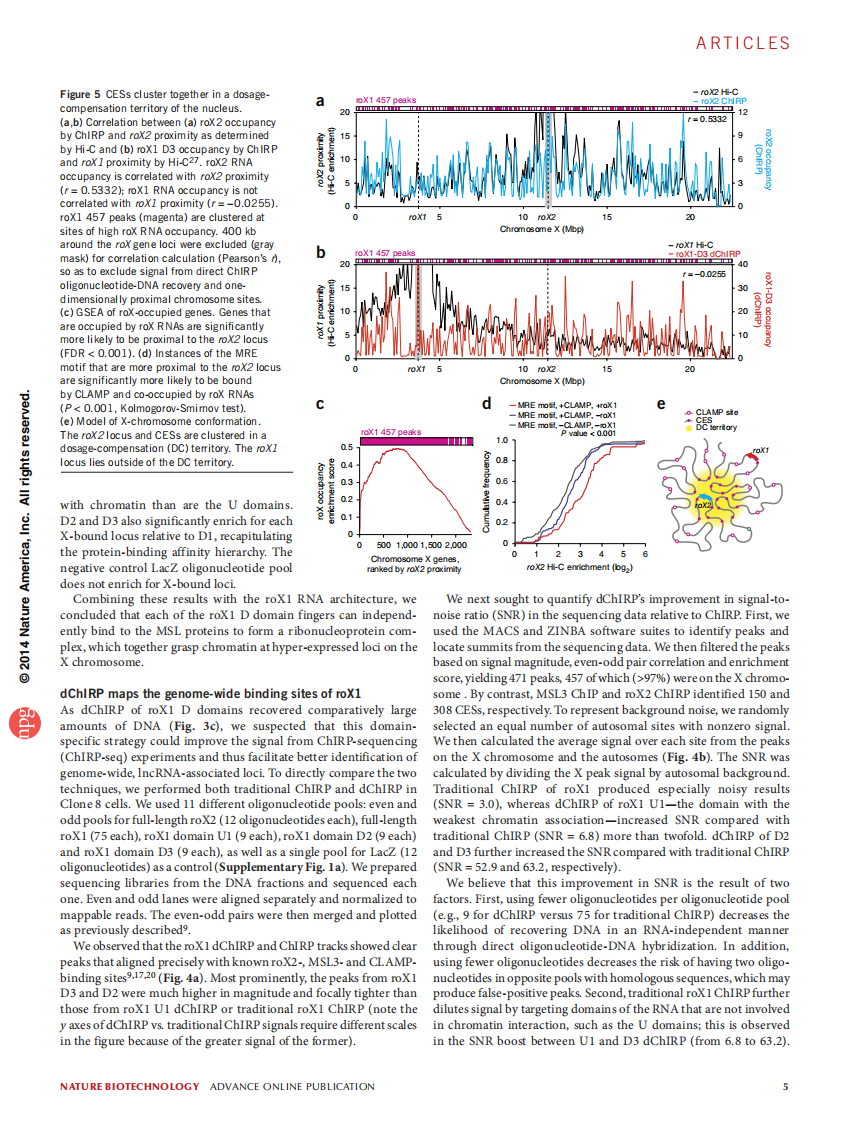 编码RNA Revealing long noncoding RNA architecture and functions using domain-specific chromatin isolation by RNA purification【bioworlde.com】.pdf 第5页