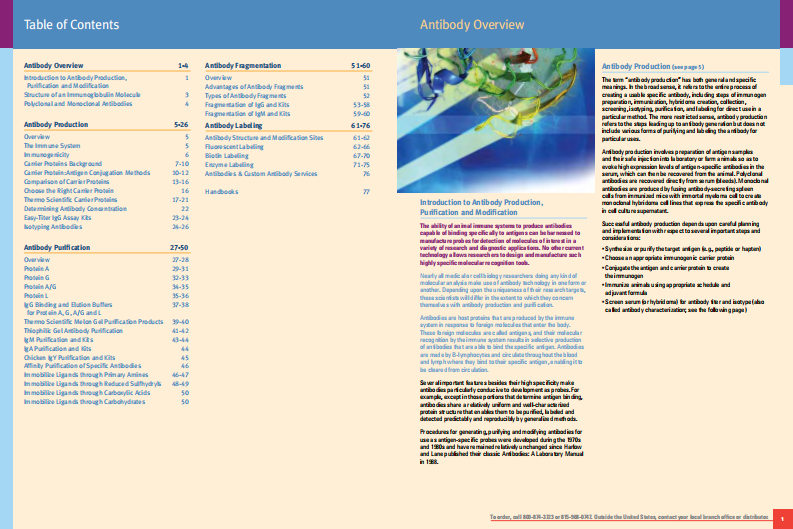 抗体乙肝1601975_AntibodyHB_Version2_INTL[[公众微信号：bioworlde]].pdf 第2页