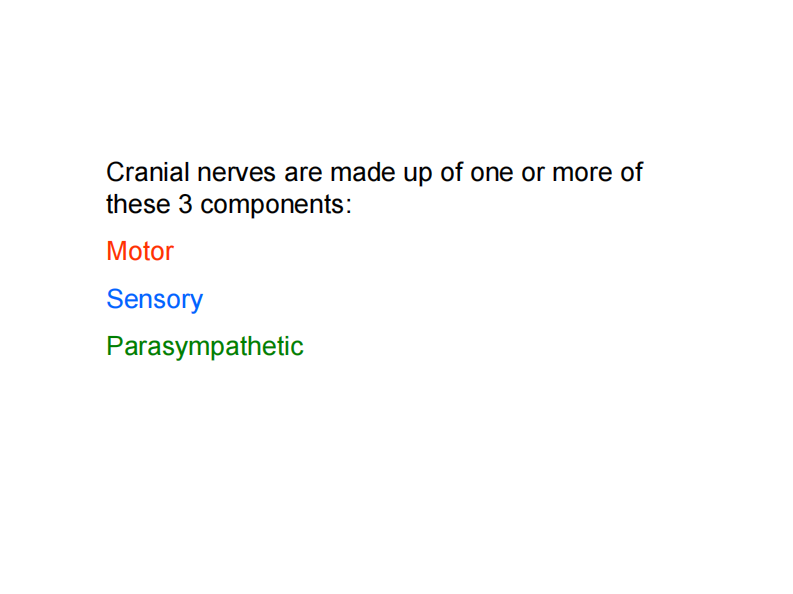 颅内神经Cranial nerves Lecture_2007_web.pdf 第3页