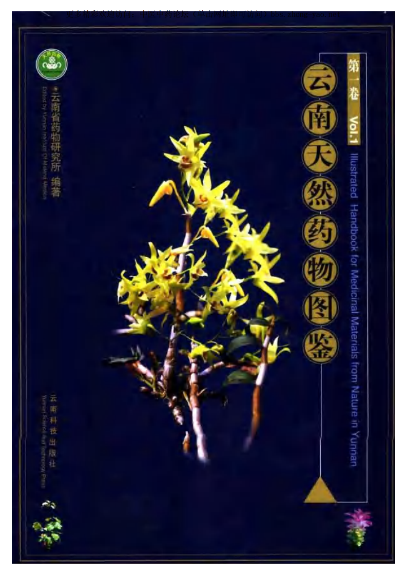 云南天然药物图鉴（第一卷）.pdf 第1页