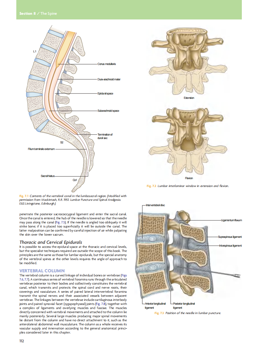GRAY'S Clinical Neuroanatomy The Anatomic Basis for Clinical Neuroscience_部分6.pdf 第1页