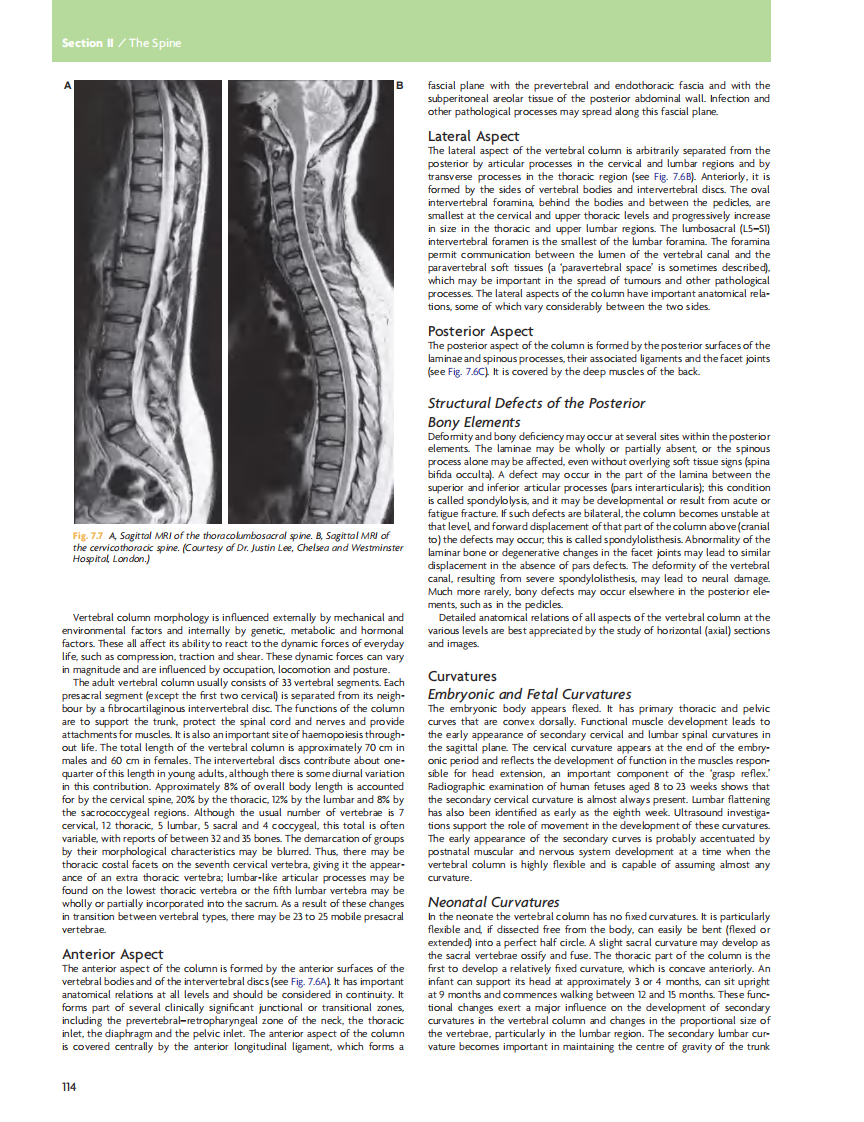 GRAY'S Clinical Neuroanatomy The Anatomic Basis for Clinical Neuroscience_部分6.pdf 第3页