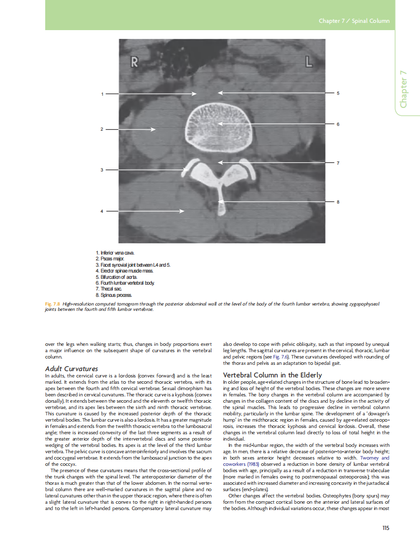 GRAY'S Clinical Neuroanatomy The Anatomic Basis for Clinical Neuroscience_部分6.pdf 第4页